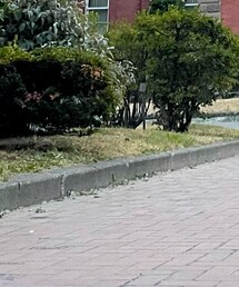 ※似たデザインです | その他