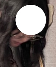 父のお下がり | 父の伊達メガネ。くれた。(メガネ)