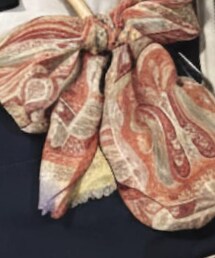 ETRO | ストール/ショール