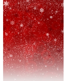 ツリーの背景② | 雑誌