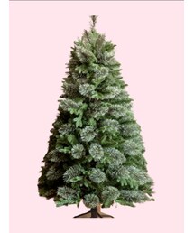 背景なしのツリー | 雑誌