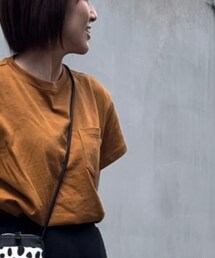 ZARA | Tシャツ/カットソー