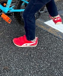 ウルトラマン | ソックス/靴下