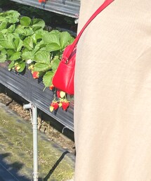 GUCCI | ショルダーバッグ