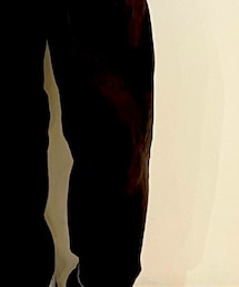 Johnbull Private labo | パンツ