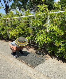 石拾い | 石を拾ってはココにいれて遊ぶ(その他)