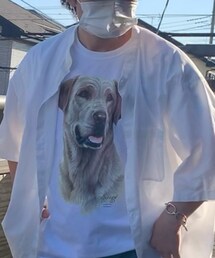 古着 | Tシャツ/カットソー