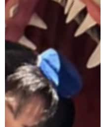 ﾕﾆﾊﾞｰｻﾙｽﾀｼﾞｵｼﾞｬﾊﾟﾝ | カチューシャ