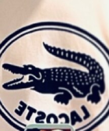 LACOSTE | Tシャツ/カットソー