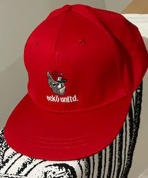 ecko unltd. | ドンキで1000円…懐かしくて思わず購入(キャップ)