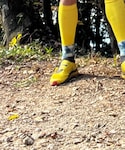 LA SPORTIVA(スポルティバ)の「シューズ(シューズ)」