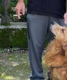 NIKE | チノパンツ