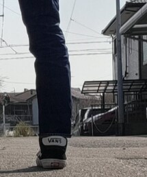 VANS | スニーカー