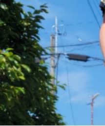 SEIKO | アナログ腕時計