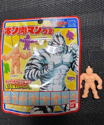 甘味バカ一代💪 | 定期的に限定で出ている。グミながら食玩故、発売元はバンダイ。パッケージはゼブラが描かれているが、おまけは何が当たるかはランダム。で、ゼブラが当たった🤣(フィギュア)