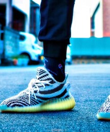 Champion | ソックス/靴下