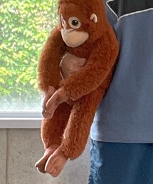 さくら。 | その他