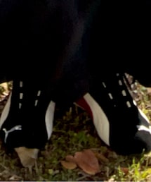 PUMA | スニーカー