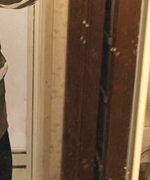 mastermind JAPAN | シャツ/ブラウス