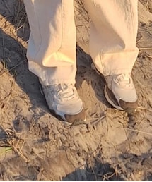 ASICS | スニーカー