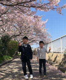 BRANSHES | スーツパンツ