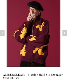 AMBERGLEAM | ニット/セーター