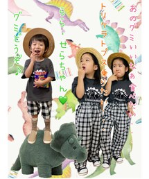 恐竜クラブ新入部員👯‍♀️✨ | ラッピングキット