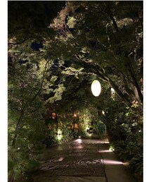 思い出のお庭🥹🌿 | その他