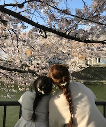 🌸 .* | お揃いの髪型💓(その他)