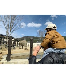 🌸 .* | 🐘💨(その他)