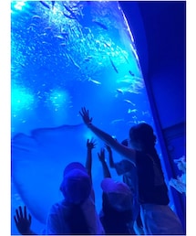 京都水族館🐬 | SARAのお友達とのお別れ🥺　　　　　　　　　　　　　　　　　　　　　　　　　　　　　　アメリカでも頑張ってね🇺🇸💓(その他)