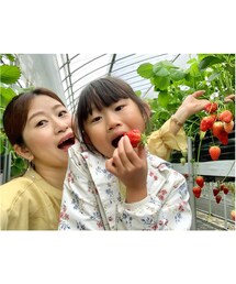 たくさん食べました😋 | 美味しかったです😋(その他)