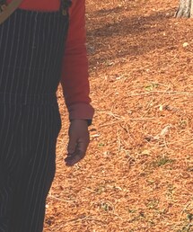 CASIO | デジタル腕時計