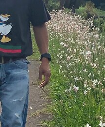 CASIO | デジタル腕時計