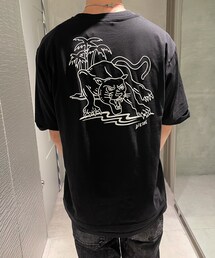 バックショット | その他