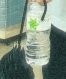 水 | ファッション雑貨