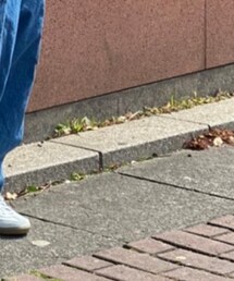 GERMAN TRAINER | シューズ