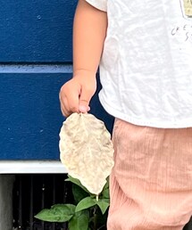 葉っぱ | その他