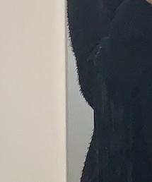 IF SIX WAS NINE | カーディガン/ボレロ