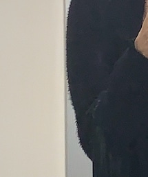 Dita | サングラス