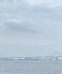 ROEN | Tシャツ/カットソー