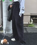 STUSSY(ステューシー)の「オールインワン・サロペット(サロペット/オーバーオール)」