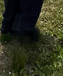 SALOMON | スニーカー