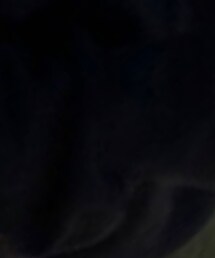 Levi's | その他パンツ