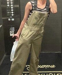 Dickies | サロペット/オーバーオール