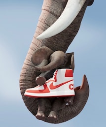 NIKE | COMME des GARÇONS HOMME PLUS × Nike Terminator(スニーカー)