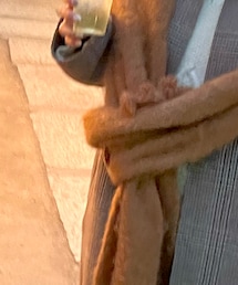 LOEWE | ストール/ショール