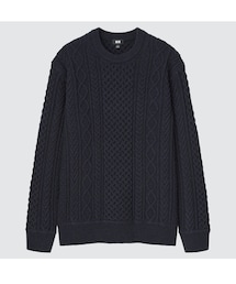 UNIQLO | ライトウェイトローゲージアランクルーセーター(ニット/セーター)