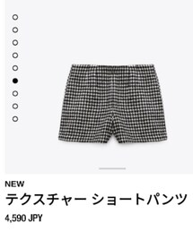 ZARA | パンツ