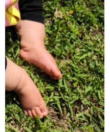 patagonia | パーカー